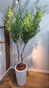 Planta Artificial Árvore Oliveira 2,60m 2 Troncos Kit + Vaso Branco Cônico 55cm Mod. 1305